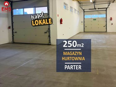 lokal użytkowy na wynajem 250m2 lokal użytkowy Białystok, Dojlidy
