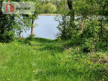 Działki nad jeziorem Wiewiórczyn (3001 m² i 3645 m²) z widokiem działka Wiewiórczyn