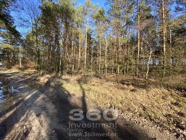 Działka leśna na sprzedaż Słonów 10 800m2 Foto 5