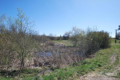 Lokal użytkowy na sprzedaż Czarne Wielkie, Las 99m2 Foto 7