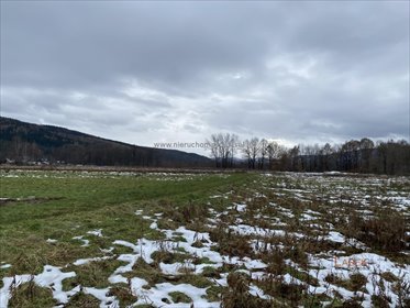 Działka 30 arów z mediami, cisza i spokój - polecam działka Jaroszowice