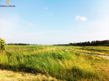 działka na sprzedaż 11200m2 działka Motycz