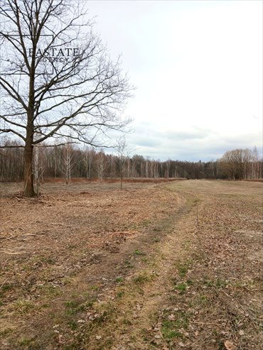 działka na sprzedaż 11147m2 działka Koryta, Północna