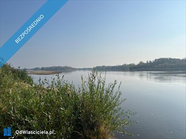 działka na sprzedaż 5000m2 działka Brzumin