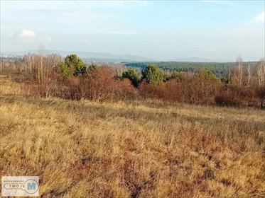 działka na sprzedaż 17841m2 działka Daleszyce, Mójcza, Mójcza