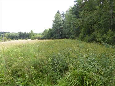 działka na sprzedaż 3622m2 działka Polanica-Zdrój, Polanica -Zdrój