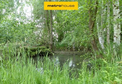 Urokliwa działka 3826 m² z stawem i starodrzewem działka Dzietrzychowice
