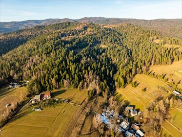 Działka leśno-rolna 9068 m² w Harklowej - polecam działka Nowotarski