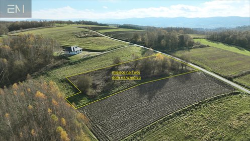 Działka na wzgórzu z drzewami, 3000 m², WZ. działka Niewodna