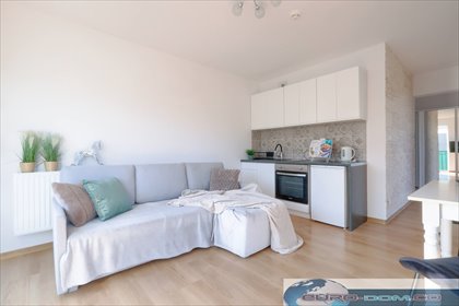 mieszkanie na wynajem 31m2 mieszkanie Poznań, Jeżyce, Sołacz, Nadolnik