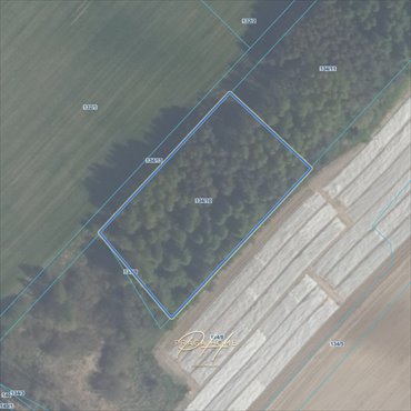 działka na sprzedaż 1600m2 działka Zwierzewo