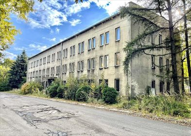 lokal użytkowy na sprzedaż 1200m2 lokal użytkowy Mysłowice