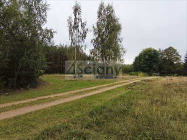 Sprzedam działkę 1500 m² z lasem i dojazdem asfaltowym działka Ojrzanów