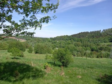 działka na sprzedaż 4471m2 działka Wałbrzych, Rusinowa