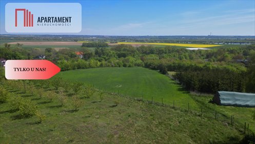 Działka 5100 m² z pozwoleniem na dom letniskowy zapraszam działka Opalenie