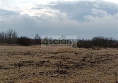 działka na sprzedaż 4000m2 działka Reguły