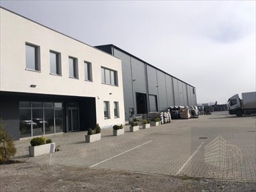 Nowoczesny lokal 429 m² z magazynem i logistyką w Szczecinie polecam lokal użytkowy Szczecin, Zdunowo