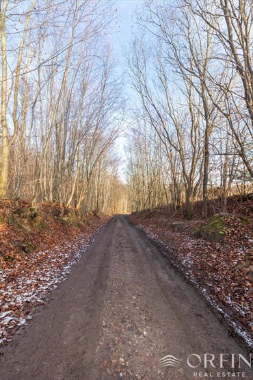 działka na sprzedaż 1445m2 działka Łapino Kartuskie, Rdestowa