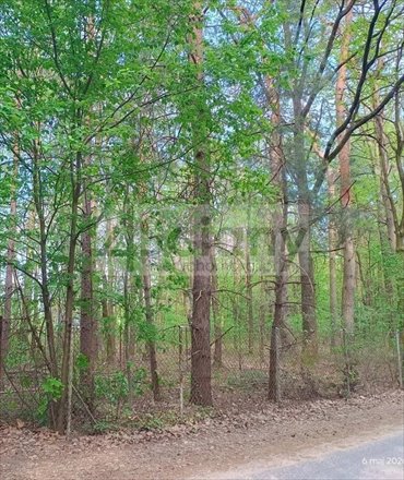 Zapraszam do zakupu działki 948 m² z dostępem do prądu i gazu działka Urzut