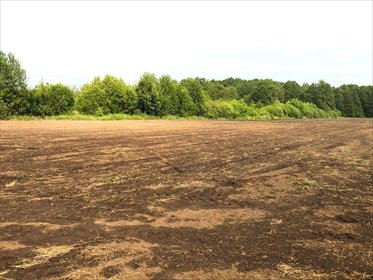 działka na sprzedaż 40000m2 działka Żurobice
