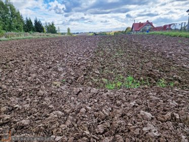 działka na sprzedaż 823m2 działka Łuczyce