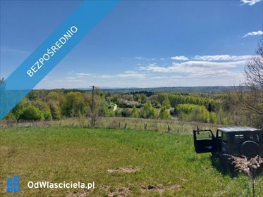 Widokowa działka rekreacyjna 2,47 ha w Gliniku Górnym polecam działka Glinik Górny