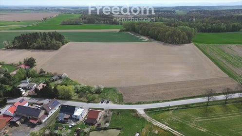 Sprzedam działkę 21 000 m² w Strzegowie z częścią budowlaną działka Strzegów