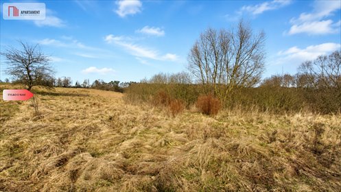 Działka leśna 3006 m2 w Kiełpinie – cisza i natura działka Kiełpin