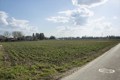Blat do kuchni ogarniesz za płotem-818 m² pod dom działka Studzian