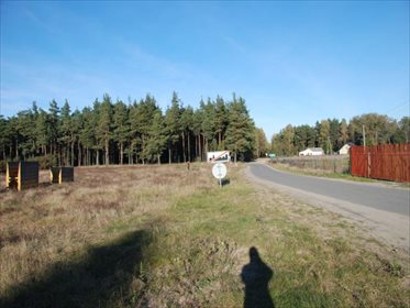 Działka siedliskowa na sprzedaż Krzyż, Xxx, XXX, Xxx 12 001m2 Foto 2