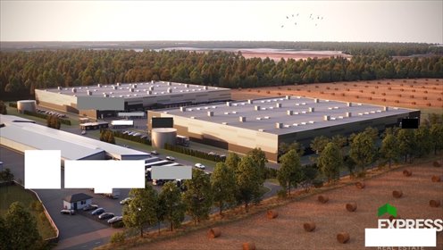 Magazyn na wynajem Chociule 5 500m2 Foto 4