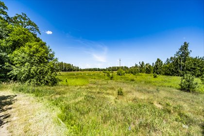 działka na sprzedaż 8000m2 działka Kośminy