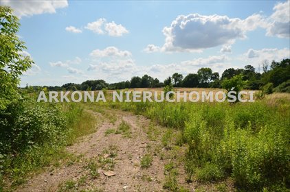 działka na sprzedaż 3002m2 działka Czepino
