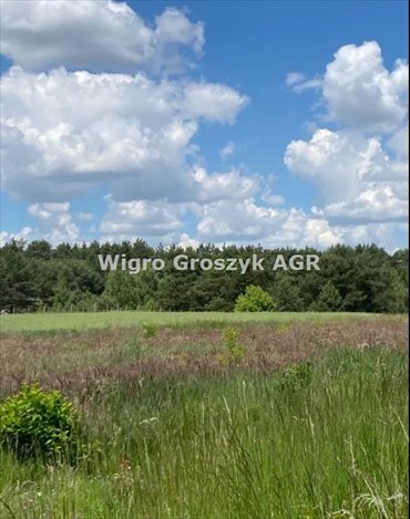 Działka 1644 m² z dostępem do mediów, las, spokój działka Jesionka