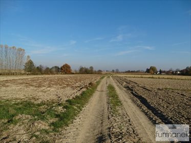Działka rolna na sprzedaż Babice 7 838m2 Foto 5