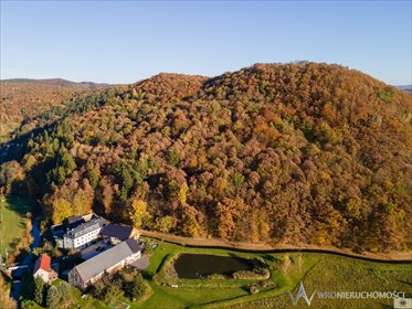 lokal użytkowy na sprzedaż 1750m2 lokal użytkowy Sędziszowa