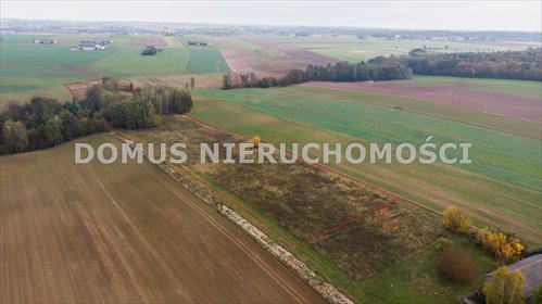 Działka 3001 m² w Jasińcu (widok na pola i las) działka Jasień