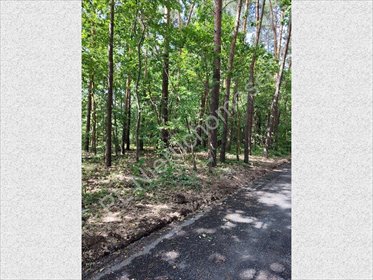 działka na sprzedaż 5603m2 działka Żółwin