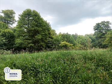 działka na sprzedaż 1200m2 działka Milanówek, Warszawska