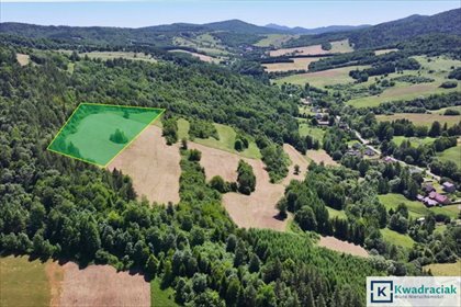 działka na sprzedaż 25500m2 działka Stężnica