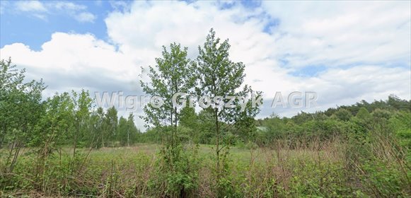 działka na sprzedaż 8087m2 działka Adamówek