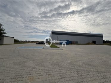 Zapraszam do wynajmu nowoczesnej hali produkcyjno-magazynowej 5000 m² lokal użytkowy Świebodzin, Gronowa