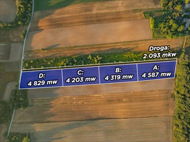 Do sprzedania działka 20 031 m² z pozwoleniem na 3 domy działka Barbarka