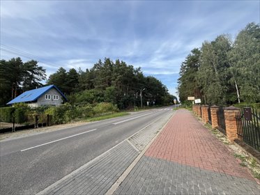 Duża działka 15 243 m² z MPZP, las, media - polecam działka Wola Chodkowska