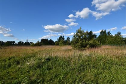 Działka rekreacyjna na sprzedaż Ostrowsko 982m2 Foto 6