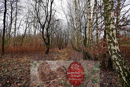 działka na sprzedaż 9530m2 działka Kazimierz Dolny