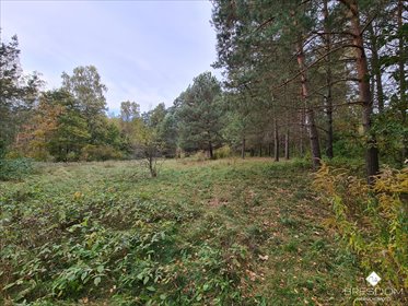 Działka rolna na sprzedaż Dywity 4 700m2 Foto 5