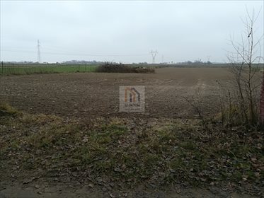 Działka budowlana na sprzedaż Iżyce 9 700m2 Foto 3
