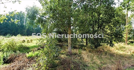 Działka 6 165 m² z infrastrukturą w Pomigaczach. działka Pomigacze