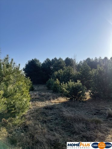 działka na sprzedaż 1567m2 działka Ruda